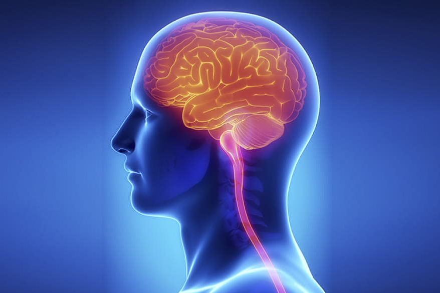 Master of Science (CE)